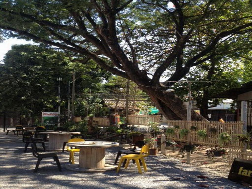 A Pousada Viva Shack Chiang Mai Exterior foto